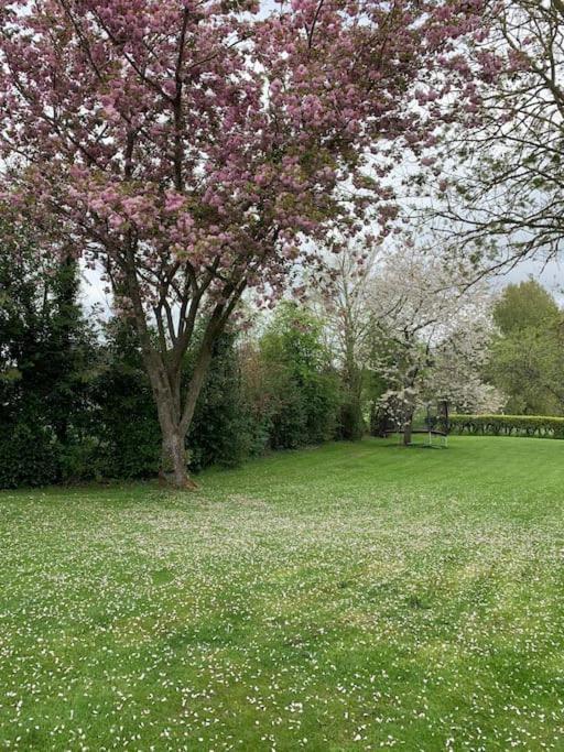 Le Nalousie Villa Livry  Eksteriør billede