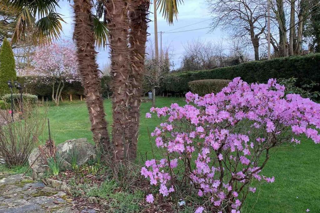 Le Nalousie Villa Livry  Eksteriør billede